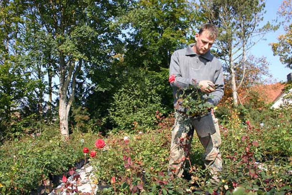 Beruf: Pflanzen, pflegen, umtopfen, beschneiden - bis die Blätter sprießen und die Blumen blühen Beruf: Pflanzen, pflegen, umtopfen, beschneiden - bis die Blätter sprießen und die Blumen blühen