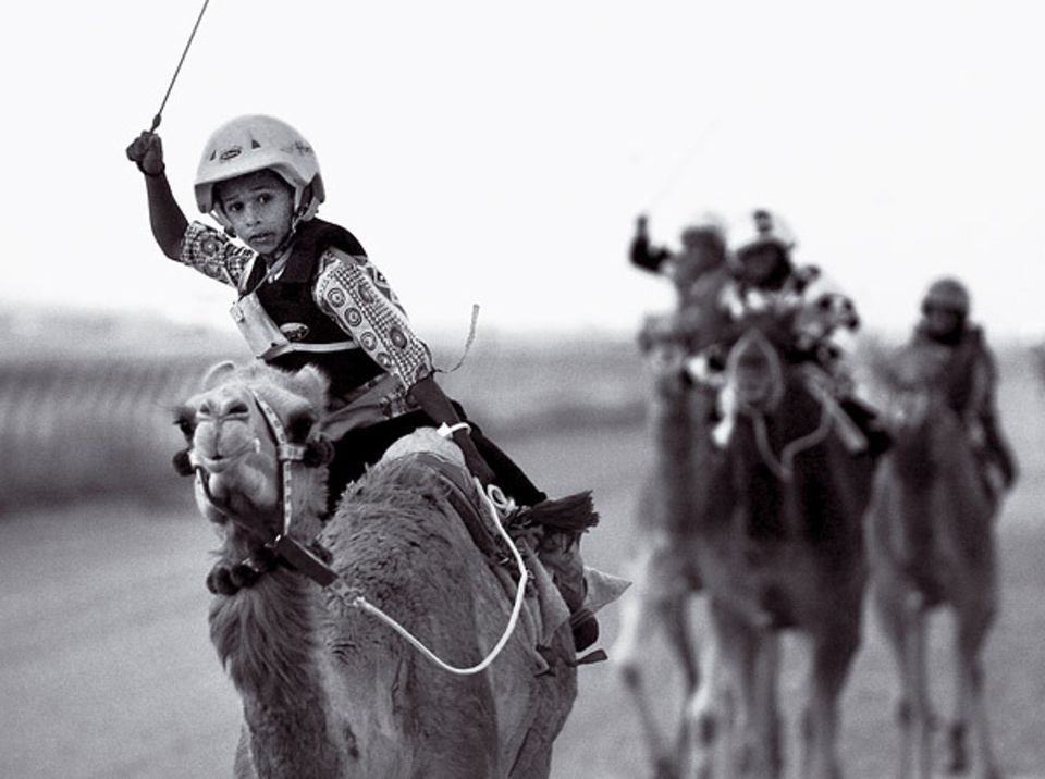 Ein kleiner Jockey treibt sein Kamel zum Sieg. Er trägt ein Walkie-Talkie um den Hals. Darüber bekommt er Anweisungen von seinem Trainer. In armen Ländern werden Kinder "gekauft", um als Sklaven zu arbeiten und bei Kamelrennen mitzumachen - weil sie so klein und leicht sind Ein kleiner Jockey treibt sein Kamel zum Sieg. Er trägt ein Walkie-Talkie um den Hals. Darüber bekommt er Anweisungen von seinem Trainer. In armen Ländern werden Kinder "gekauft", um als Sklaven zu arbeiten und bei Kamelrennen mitzumachen - weil sie so klein und leicht sind