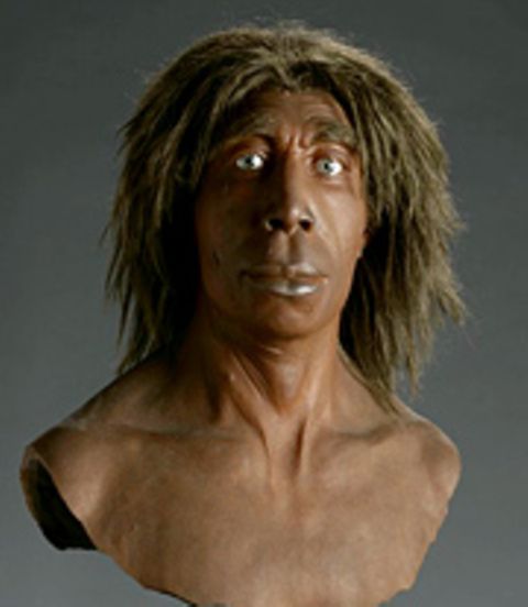 Wann Gab Es Den Ersten Menschen Geschichte: Die Evolution des Menschen - [GEOLINO]