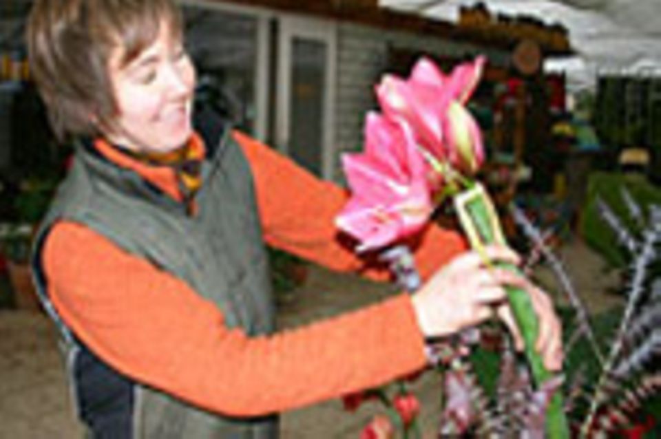 Beruf: Florist/in
