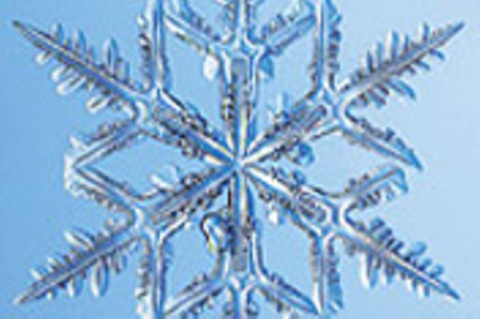 Schneekristalle