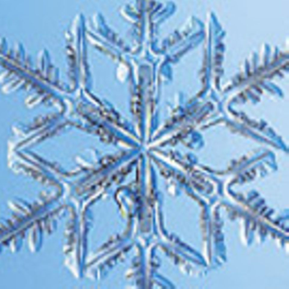 Schneekristalle