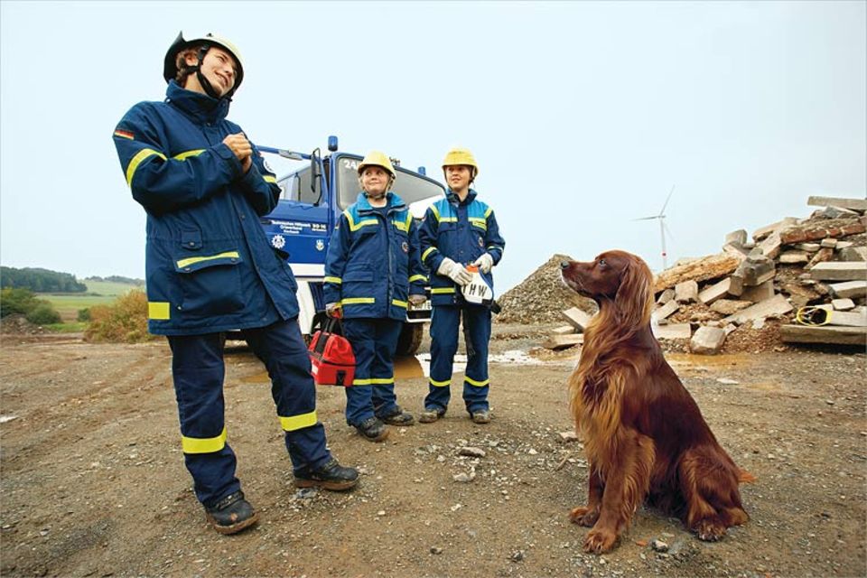 Auch mit den Rettungshunden muss geübt werden: Irish Setter Aidan soll Verschüttete in den Trümmern aufspüren Auch mit den Rettungshunden muss geübt werden: Irish Setter Aidan soll Verschüttete in den Trümmern aufspüren