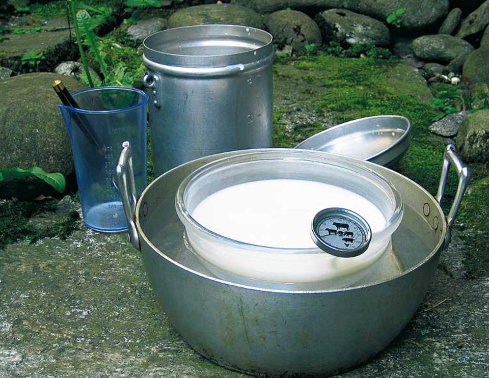 Rezept: Frischkäse selber machen: So geht's!