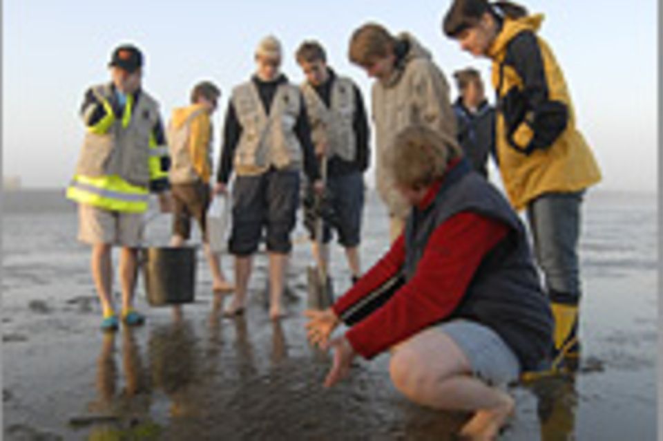 8. GEO-Tag der Artenvielfalt an der Nordsee