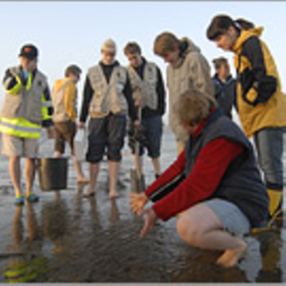 8. GEO-Tag der Artenvielfalt an der Nordsee