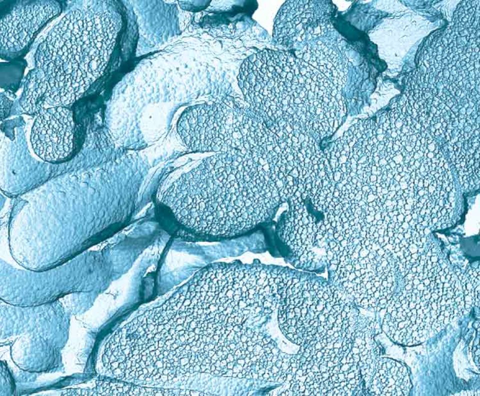 Kuriose Metamorphose: Beim Erwärmen verwandelt sich glasartiges Eis bei etwa minus 130 Grad Celsius in eine ultrazähe Flüssigkeit