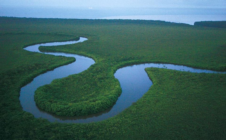 Eine Schlaufe des Sibun River, südlich von Belize City. Hier, in der Nähe der Mündung, sind die Ufer dicht von Mangroven bestanden Eine Schlaufe des Sibun River, südlich von Belize City. Hier, in der Nähe der Mündung, sind die Ufer dicht von Mangroven bestanden