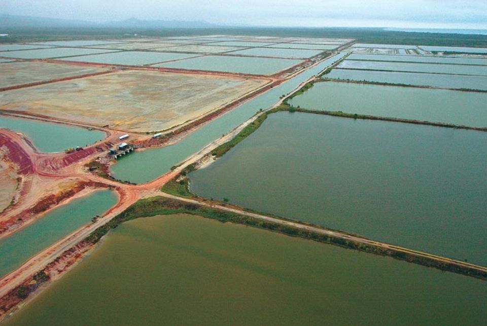 Eine Shrimp-Farm nördlich von Monkey River. Über den Kanal wird Meerwasser in das Areal geführt und in die Becken gepumpt. Gebracuhtes, mit Pestiziden und Antibiotika durchsetztes Wasser wird ungeklärt ins Meer zurückgeleitet Eine Shrimp-Farm nördlich von Monkey River. Über den Kanal wird Meerwasser in das Areal geführt und in die Becken gepumpt. Gebracuhtes, mit Pestiziden und Antibiotika durchsetztes Wasser wird ungeklärt ins Meer zurückgeleitet