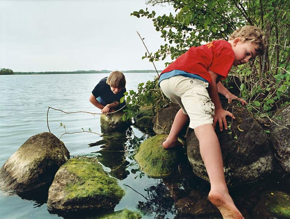 Ganz schön glitschig, so ein algenbewachsener Stein. Im Wasser lebt jede Menge Kleingetier: Tellerschnecken, Dreiecksmuscheln und Wasserasseln zum Beispiel Ganz schön glitschig, so ein algenbewachsener Stein. Im Wasser lebt jede Menge Kleingetier: Tellerschnecken, Dreiecksmuscheln und Wasserasseln zum Beispiel