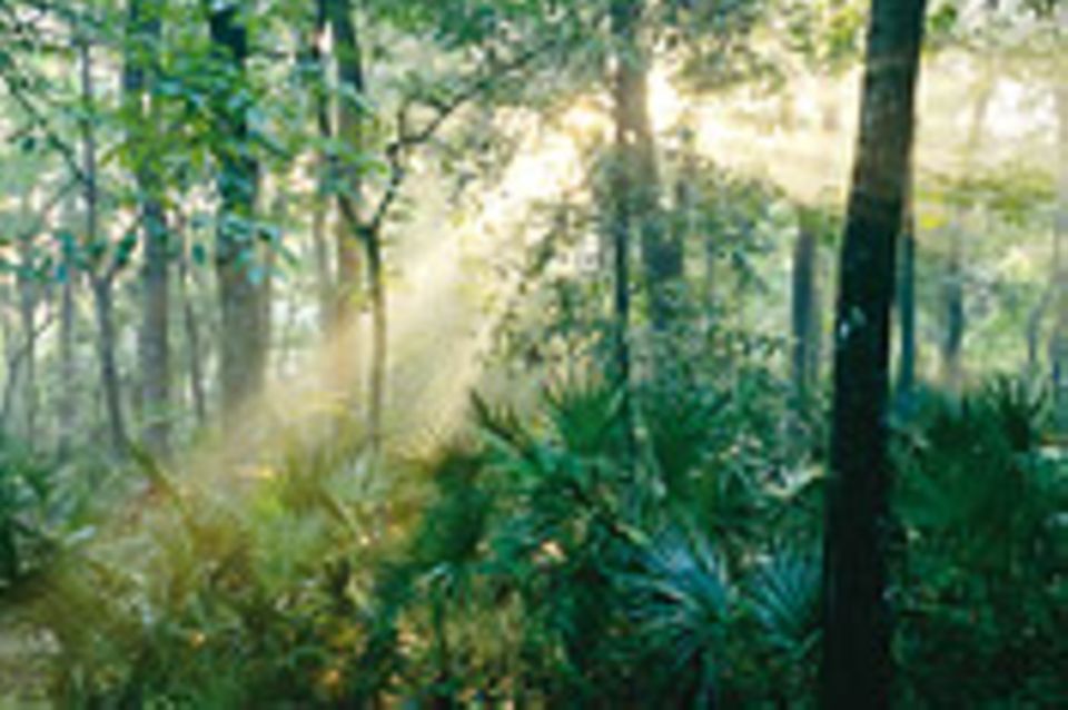 Florida: Wanderer zwischen den Welten