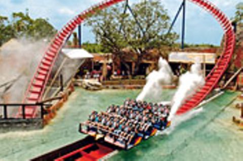 Florida: Höher, schneller, bunter