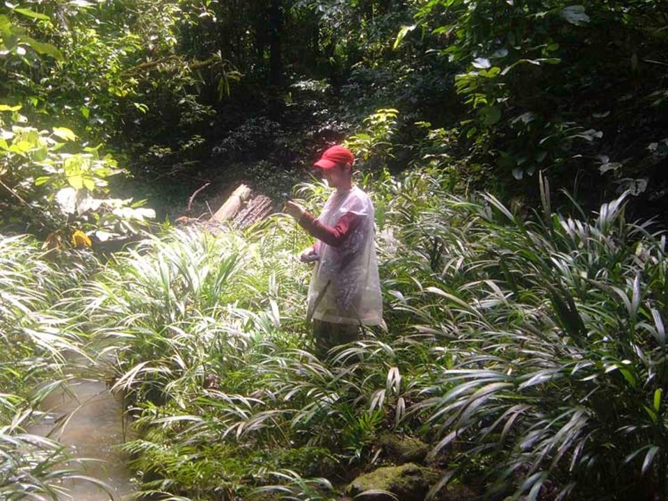 Kartierungsarbeiten im Regenwald Kartierungsarbeiten im Regenwald
