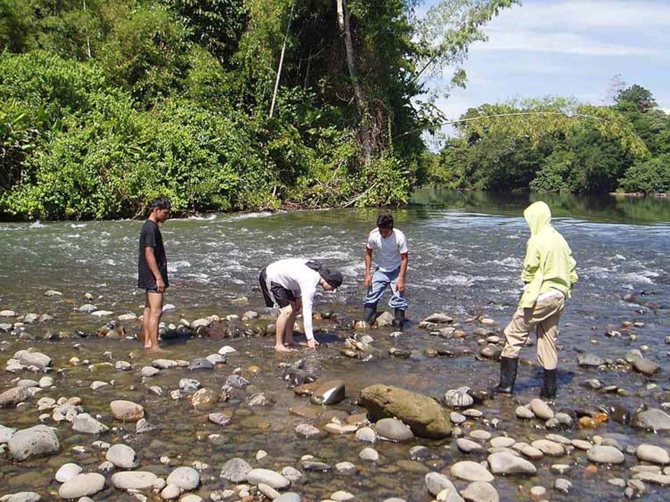 Nach einem Bootsschaden sind die Insassen auf einer Insel im Fluss gestrandet Nach einem Bootsschaden sind die Insassen auf einer Insel im Fluss gestrandet
