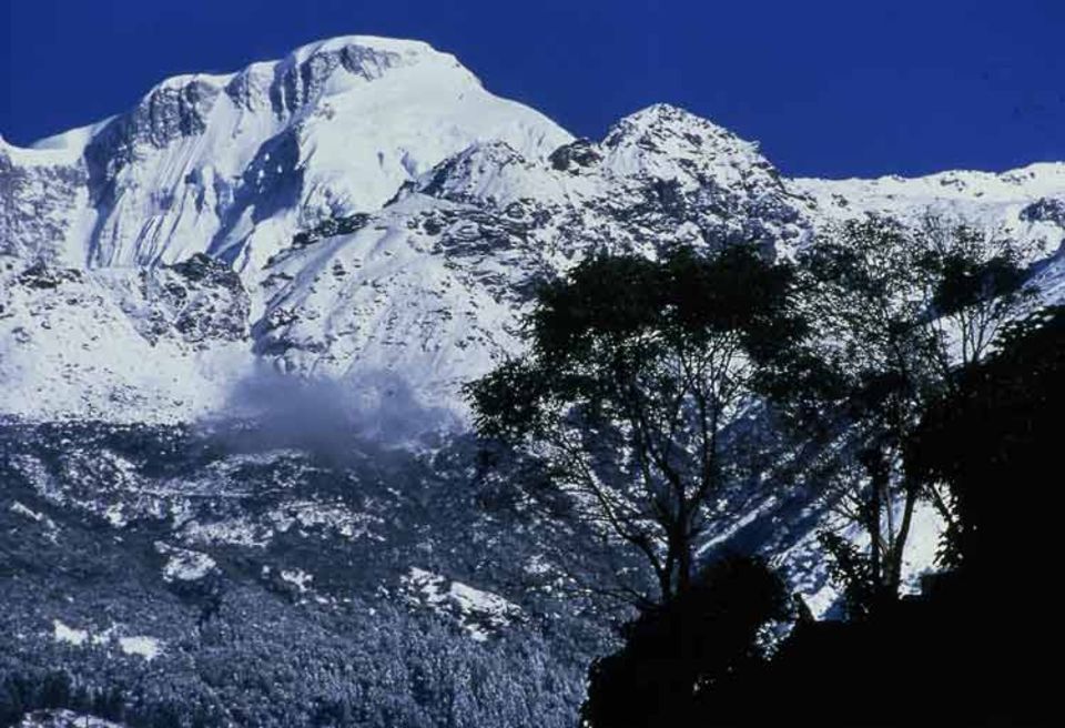 Teeanbaugebiet an den Hängen des Annapurna