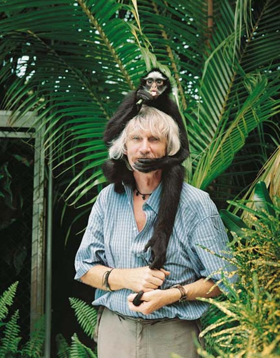 1996 Marc van Roosmalen erhielt von Händlern ein winziges Tier. Nach monatelanger Suche fand der Biologe heraus: Dieses Tier zählte zu einer neuen Art! 1996 Marc van Roosmalen erhielt von Händlern ein winziges Tier. Nach monatelanger Suche fand der Biologe heraus: Dieses Tier zählte zu einer neuen Art!