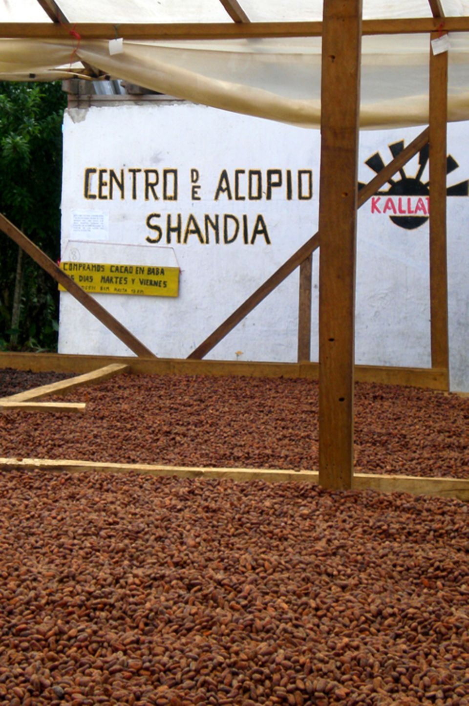 Trocknungshalle für Kakaobohnen der Kooperative Kallari