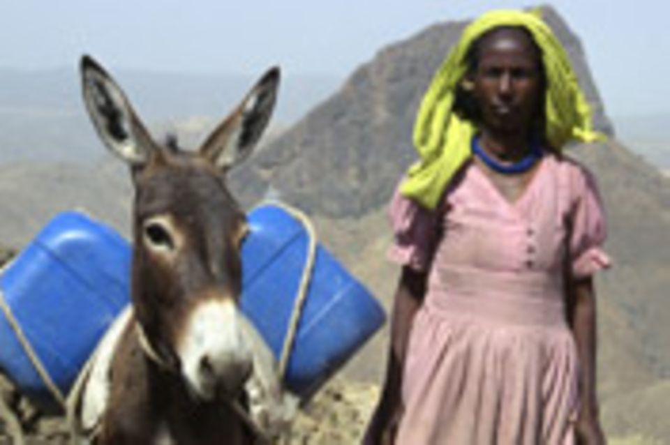 Eritrea – Ein Esel für die Zukunft