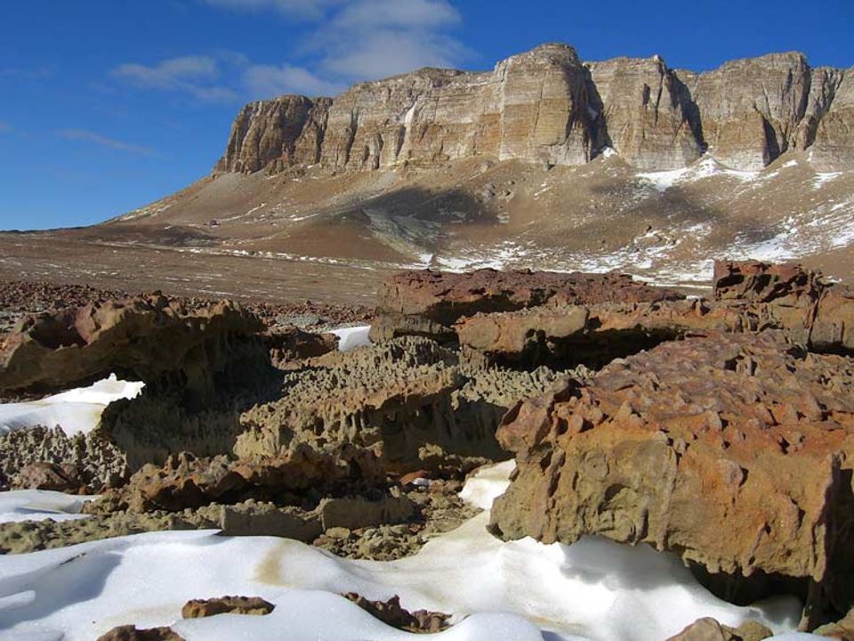 Was von Gondwana übrig blieb: In der heutigen Permafrost-Wüste der Antarktis wucherten vor 250 Millionen Jahren Sümpfe und Regenwälder