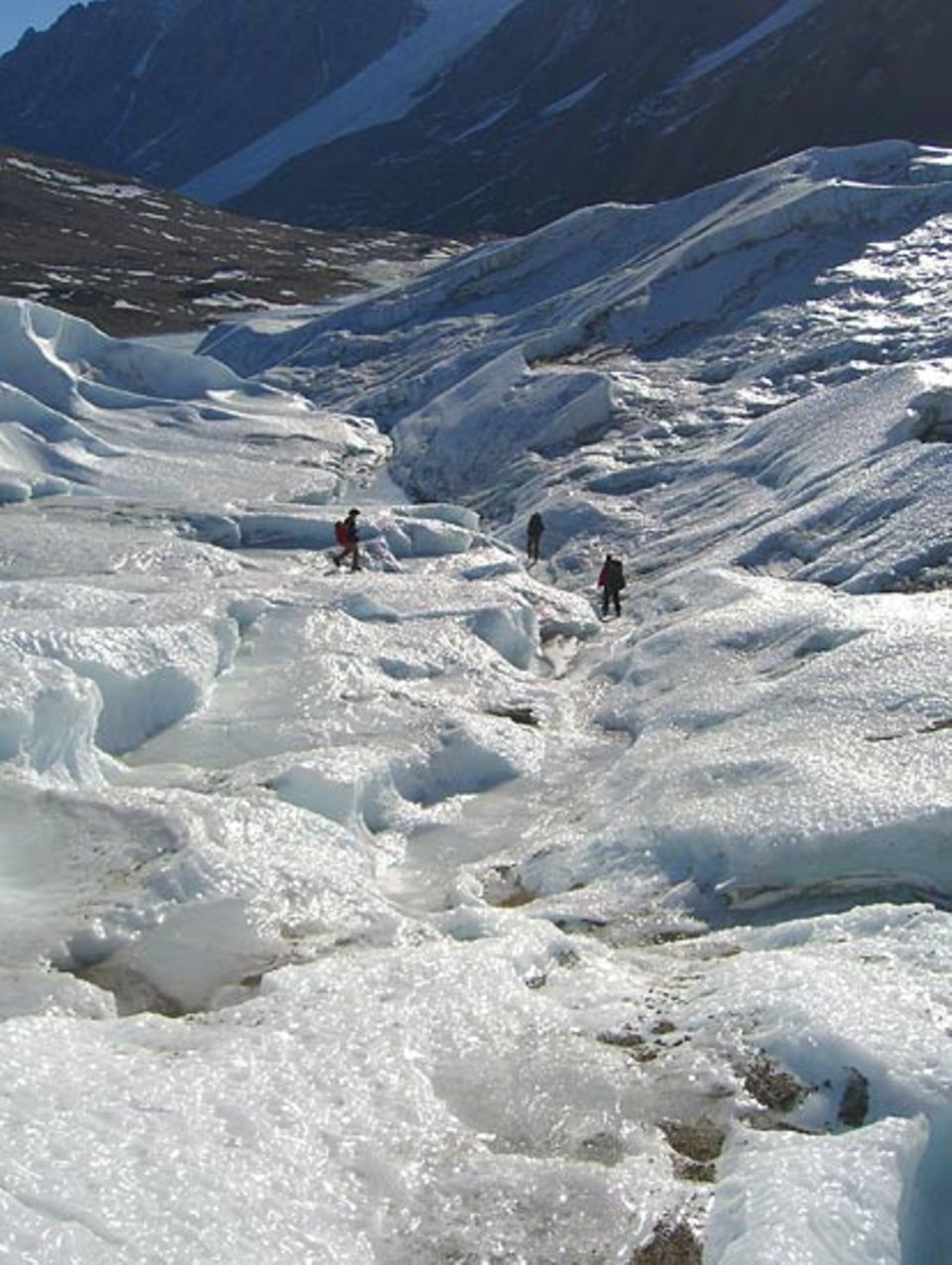 Canyons in den Gletschern: Transportwege für Nährstoffe und Mikroben, die in die Seen der Trockentäler gespült werden