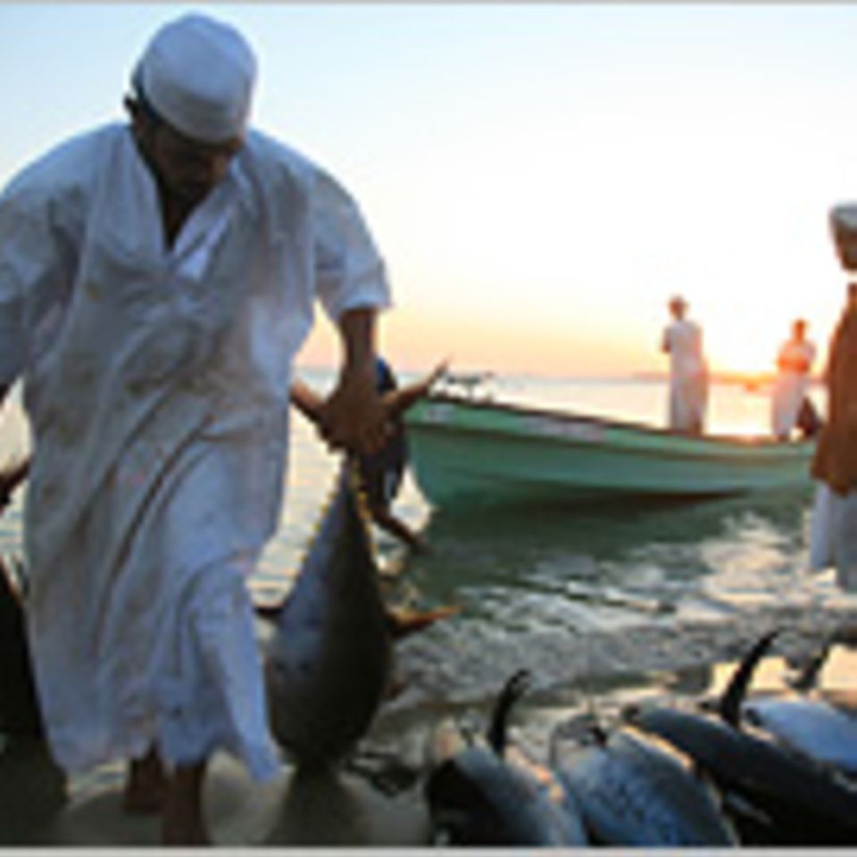 Oman: Ein Reisemärchen