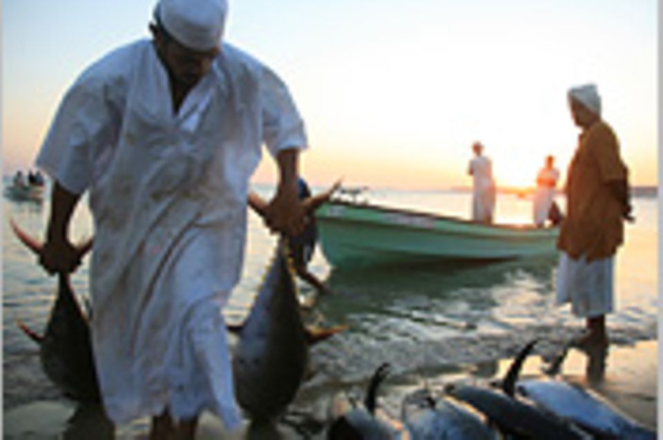 Oman: Ein Reisemärchen