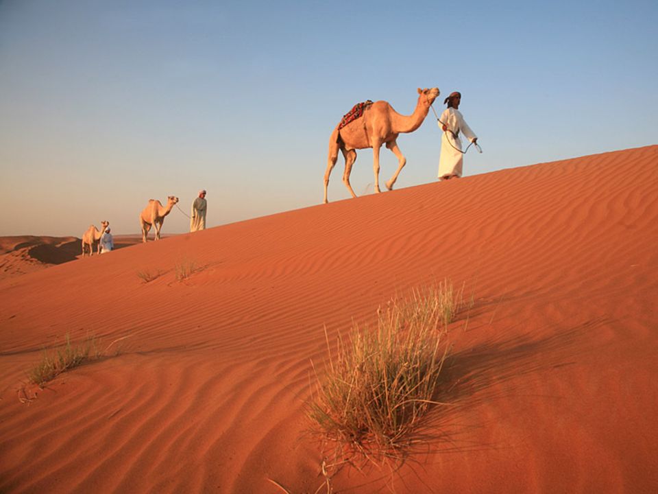 Schöne der Wüste: Al shams, die Sonne, taucht die Wahiba in rötliches Morgenlicht. Sie wärmt die Beduinen, die mit ihren Reittieren die Nacht in den Dünen verbracht haben