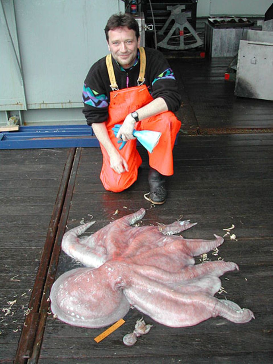 Beruf: Über 27 Kilo wiegt dieser Riesenkrake, der Uwe Piatkowski im Südpolarmeer ins Netz gegangen ist