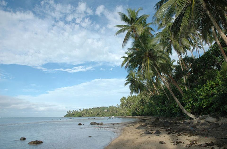 Palmen, Sandstrand und rauschendes Meer liegen direkt vor der Haustür Palmen, Sandstrand und rauschendes Meer liegen direkt vor der Haustür