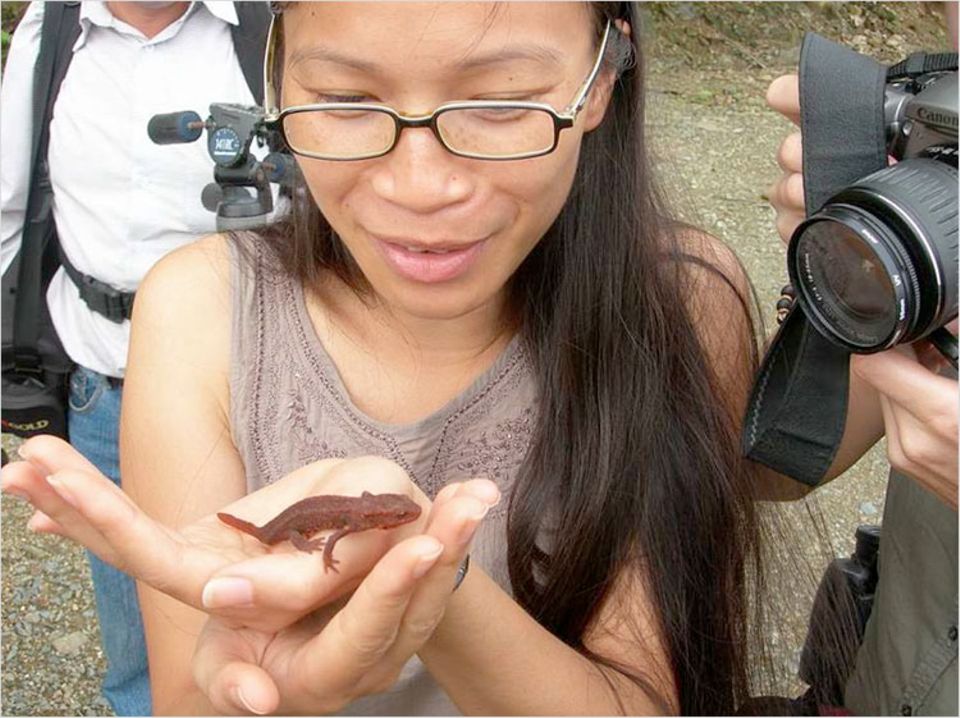 Der seltene Tam-Dao-Salamander kommt nur im gleichnamigen Nationalpark vor Der seltene Tam-Dao-Salamander kommt nur im gleichnamigen Nationalpark vor
