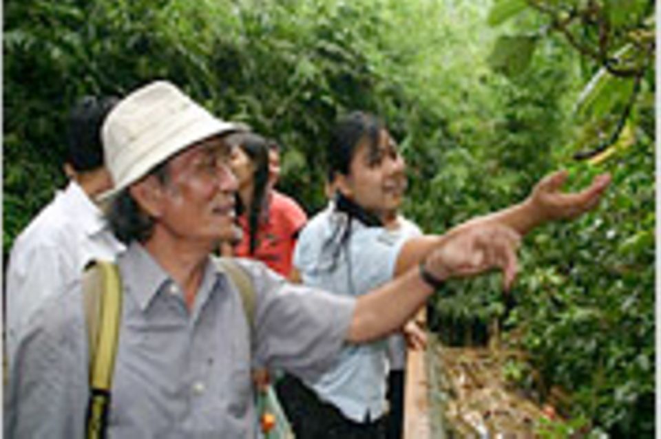 B-Day auf vietnamesisch