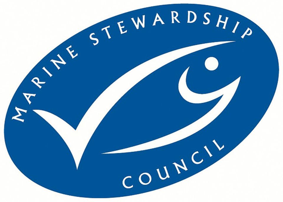 Das Ökosiegel für Fisch: Wer lizensierte Produkte kauft, hilft beim Bestandschutz