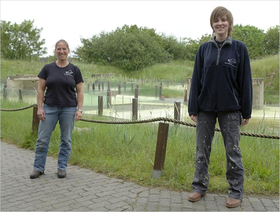 Heuler: Stationsleiterin Tanja Rosenberger und die Praktikantin Kerstin kümmern sich um die Heuler Heuler: Stationsleiterin Tanja Rosenberger und die Praktikantin Kerstin kümmern sich um die Heuler