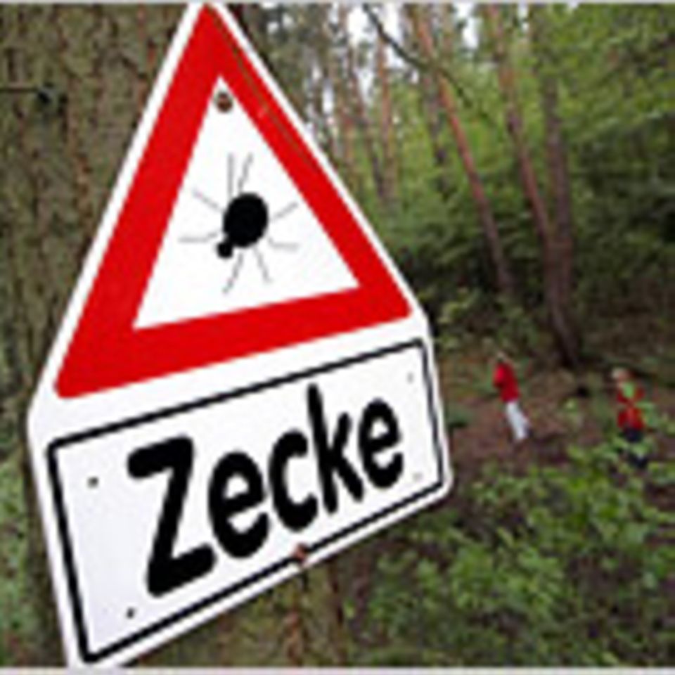 Aggressive Zecken auf dem Vormarsch