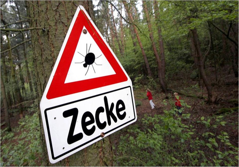 Vielerorts weisen Warnschilder auf die schleichende Gefahr im Wald hin - hier im Landkreis Offenbach Vielerorts weisen Warnschilder auf die schleichende Gefahr im Wald hin - hier im Landkreis Offenbach