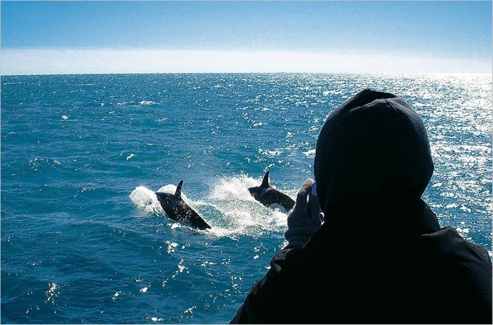 Whalewatching ist sehr beliebt auf Island, wie hier vor Ólafsvik
