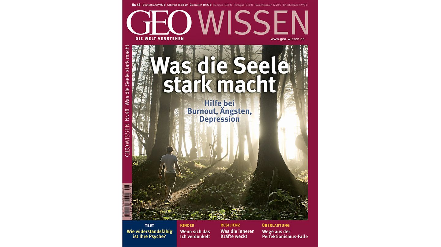 Spiegel Wissen Was Die Seele Stark Macht GEO WISSEN Nr. 48 - 11/11 - Was die Seele stark macht - [GEO]