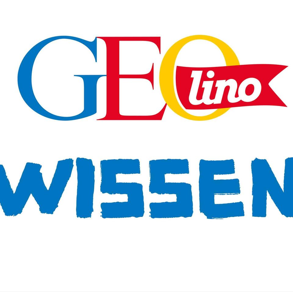 Wissen