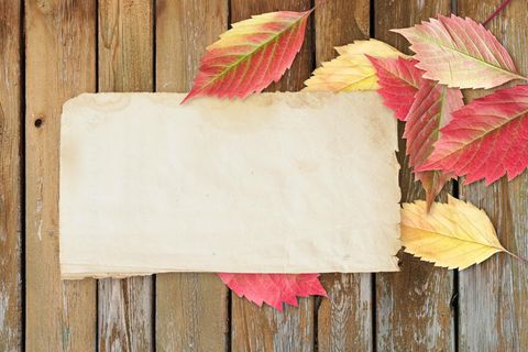 Bastelanleitung: Papier selber machen