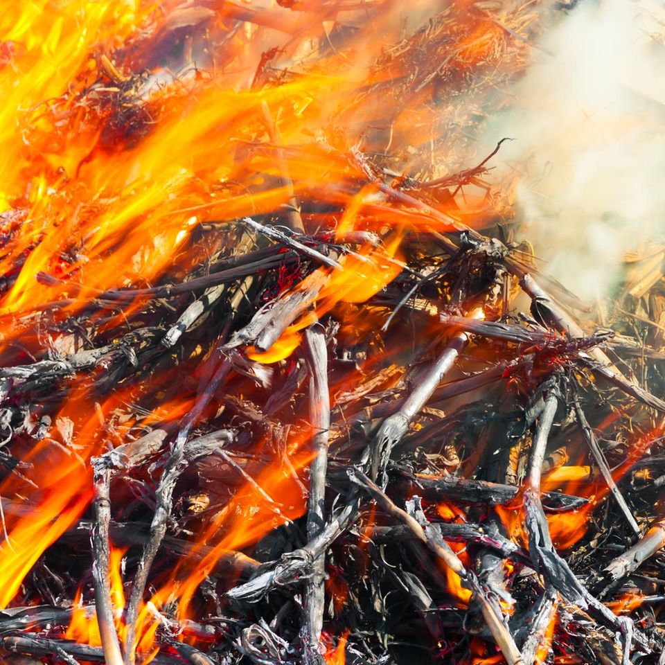 Warum knistert Feuer?
