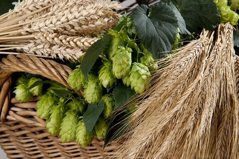 Redewendung "Hopfen und Malz sind verloren"