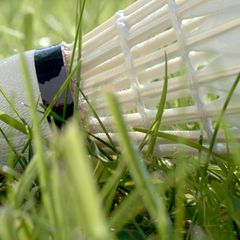 Federball im Gras