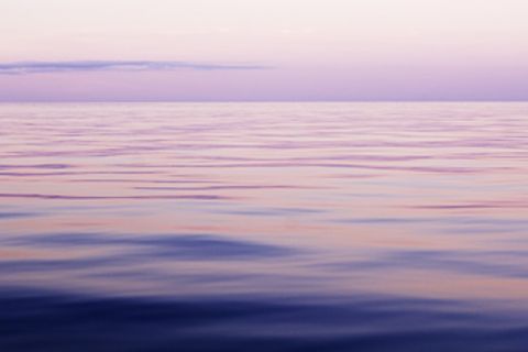 Natur: Größer als Mecklenburg-Vorpommern: Riesiges Korallenriff vor US-Ostküste entdeckt