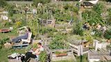 Der Gartenverein Allmende-Kontor auf dem Tempelhofer Feld