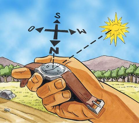 Orientierung Orientieren in der Natur die Tricks [GEOLINO]