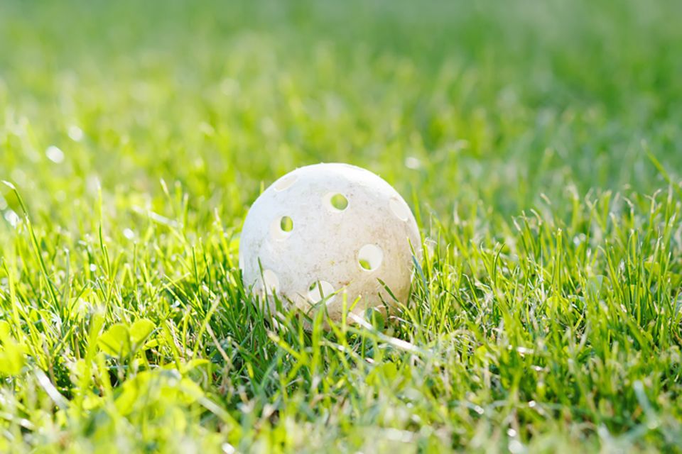 Redewendung: Hält man den Ball flach, geht man behutsam vor Redewendung: Hält man den Ball flach, geht man behutsam vor