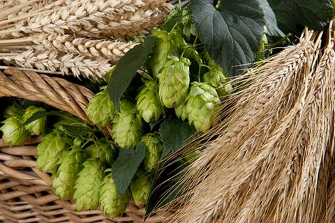 Redewendung: Hopfen und Malz verloren