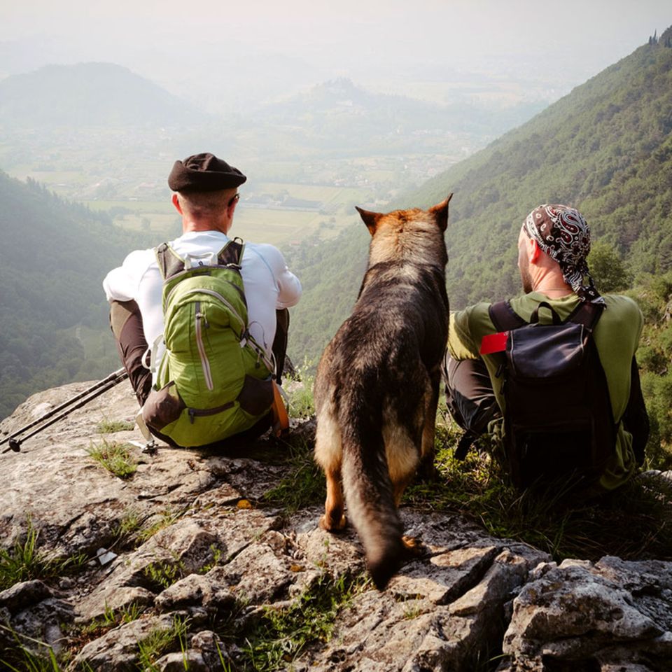 Outdoor: Camping mit Hund