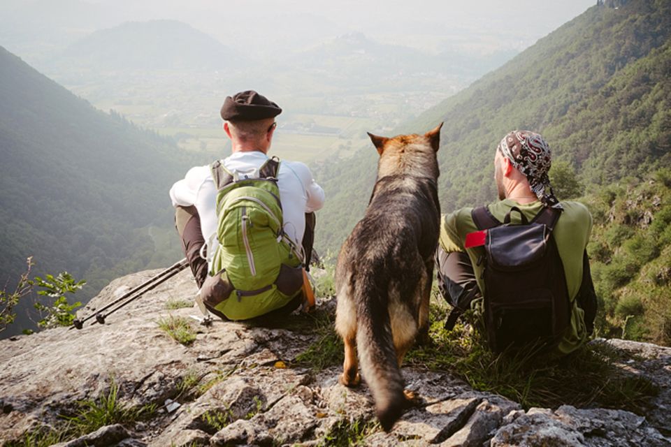 Haustiere: Zelten mit Hund
