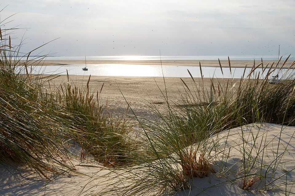 Ostfriesische Inseln: Spiekeroog: Die schönsten Ideen und Adressen